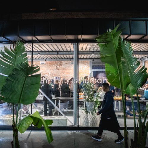 the hub human bits esterni corte legrenzi sera